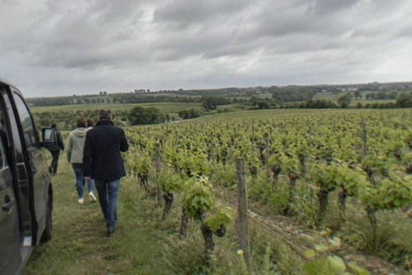 2-Hour Vineyard Van, Tastings, Nantes