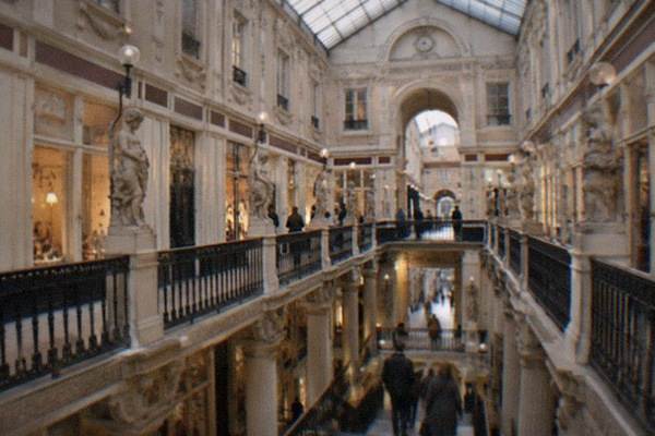 Glass-Roofed Arcade Visit, Nantes