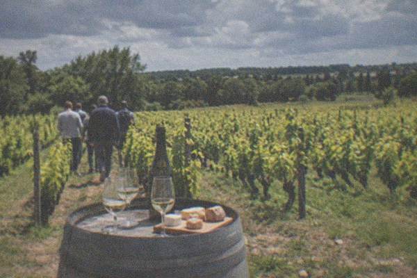 Sensory Muscadet Tasting, Nantes