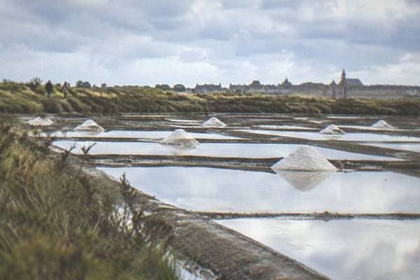 Guerande Salt Marshes Visit, Nantes