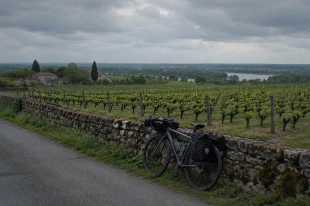 A touring bicycle parked against a stone wall on a quiet lane beside Muscadet vineyard rows on a mild late afternoon