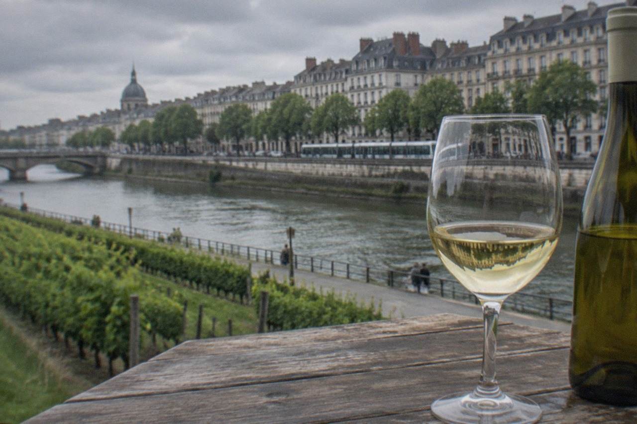 A glass of pale white wine standing on a wooden table beside a bottle, with vineyard rows in soft daylight behind