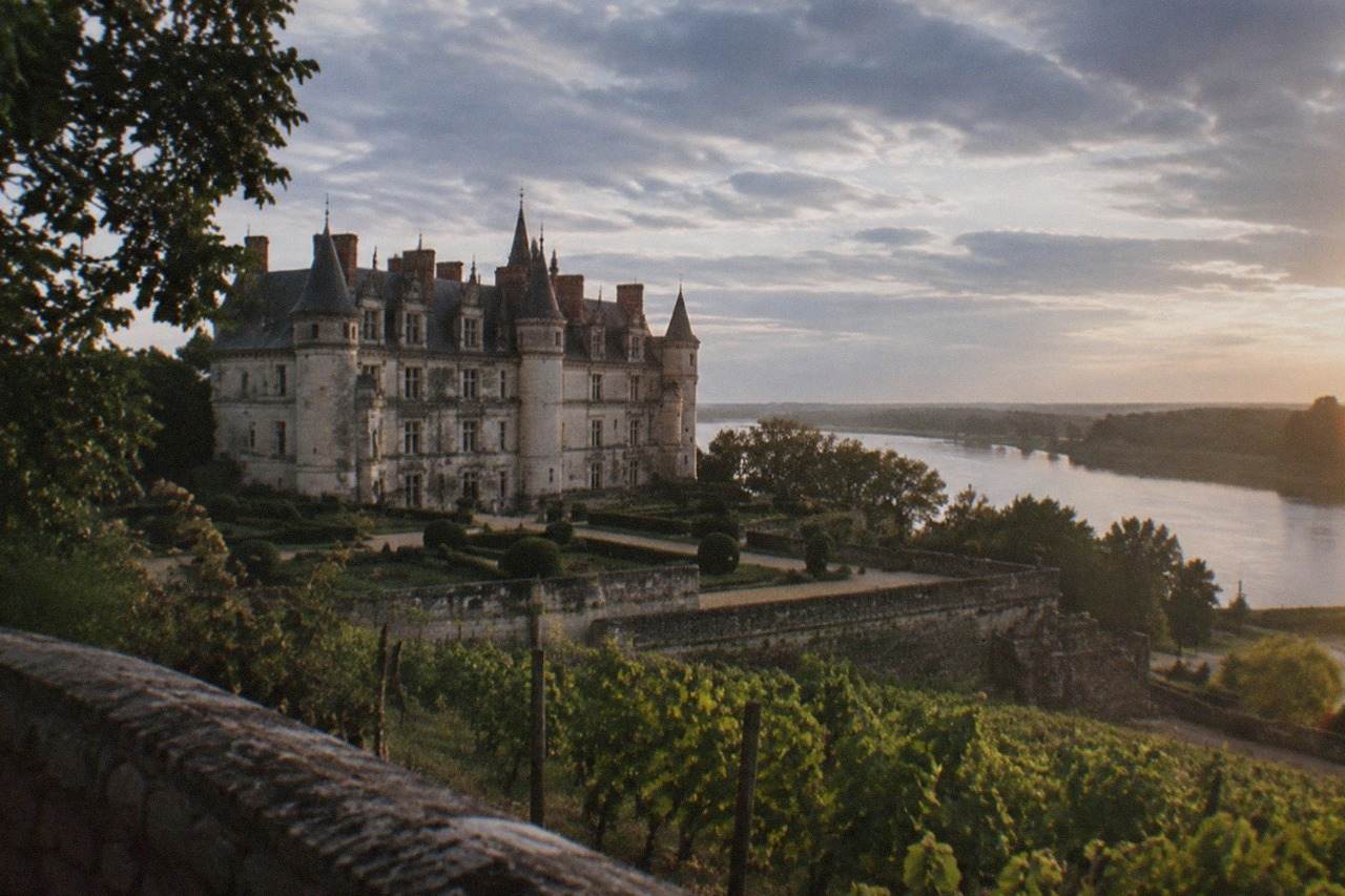 Vineyards and a château along the Loire Valley in warm evening light