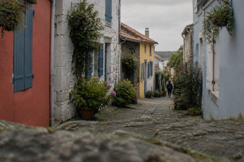 A narrow lane between small painted cottages in Trentemoult with hanging plants on the walls