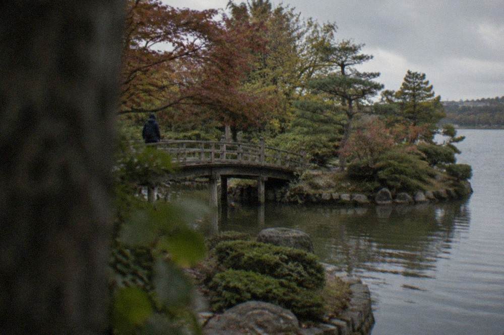 A stone-edged pond and wooden bridge in a Japanese garden beside the Erdre