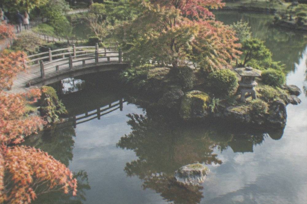 Afternoon light across a Japanese garden pond with stone lanterns