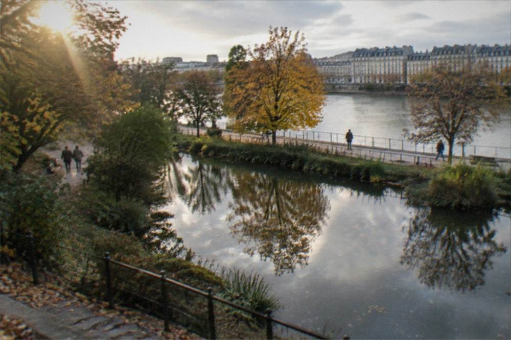 Autumn trees reflected in a garden pond along the Erdre in Nantes