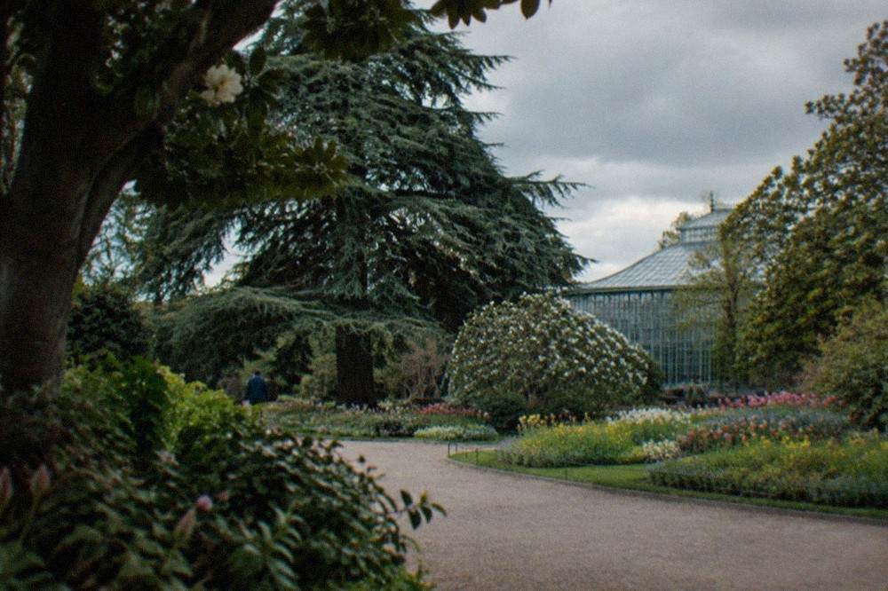 Sunlit flowerbeds with seasonal blooms and a greenhouse roof visible behind trees in the Nantes botanical garden