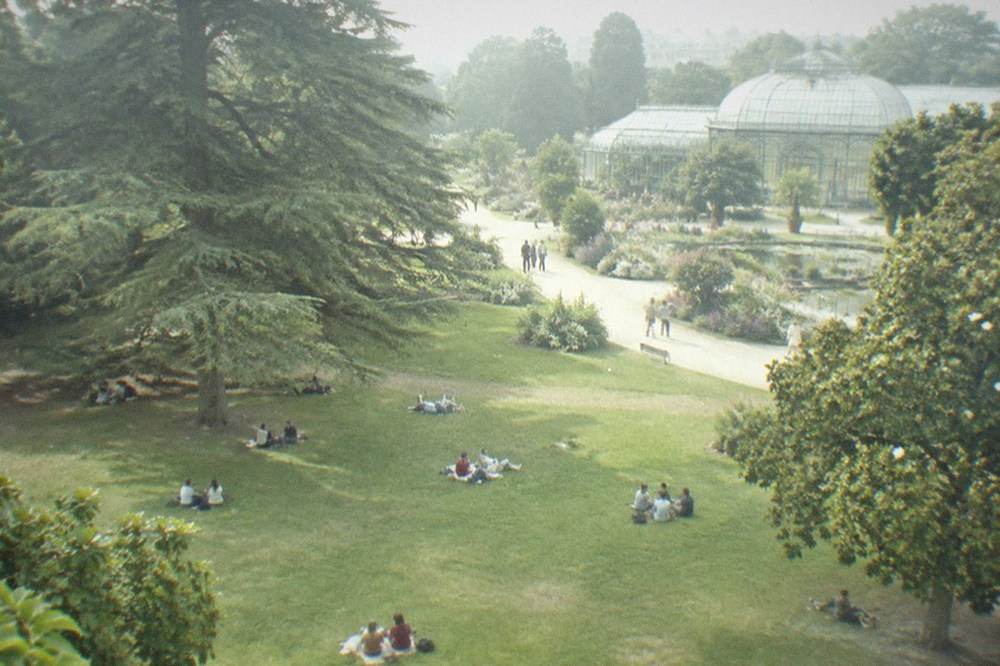 Wide lawn in the Jardin des Plantes with people relaxing on the grass and large old trees casting shade