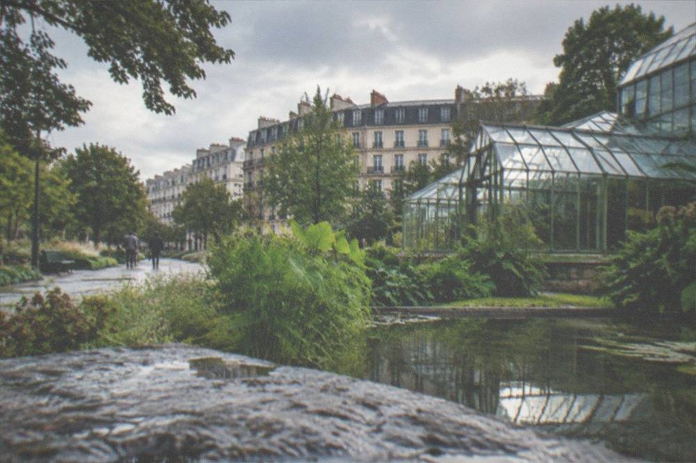 Greenhouse glass panels reflecting light among leafy trees in the botanical garden in Nantes