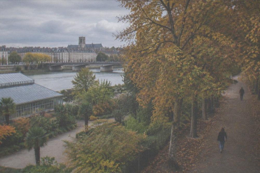 Autumn colours on large trees beside an empty path in the Nantes botanical garden