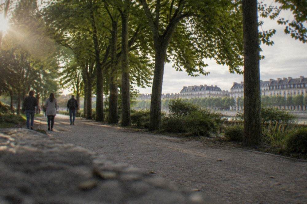 People walking on a gravel path under large shade trees in a Nantes park