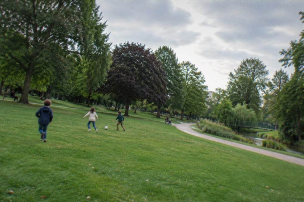 Children playing with a ball on a wide open lawn in a city park