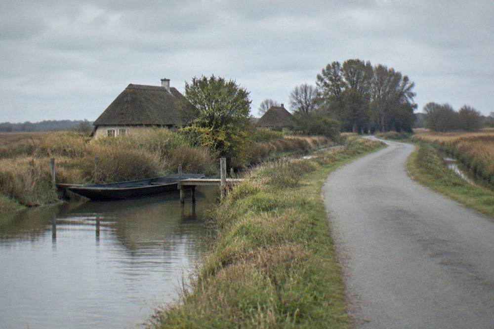 A flat country road beside a marsh drainage channel leading towards a cluster of trees
