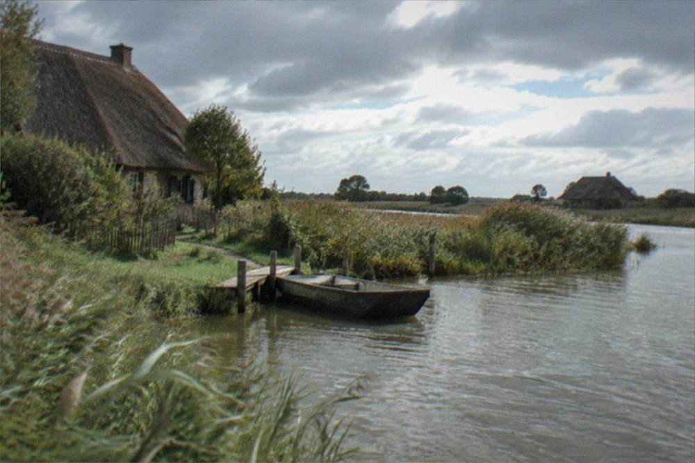 Reeds bending in wind above shallow water under a wide open sky
