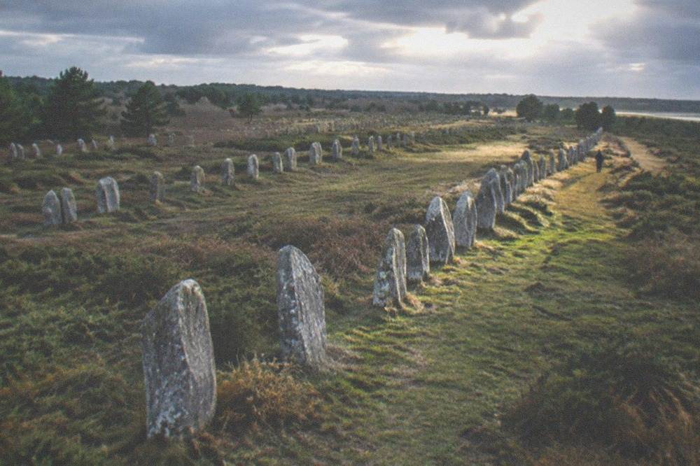 Low evening light raking across a long row of standing stones on open heathland
