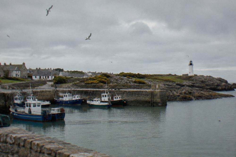 A stone harbour wall with wooden fishing boats moored behind it and gulls overhead