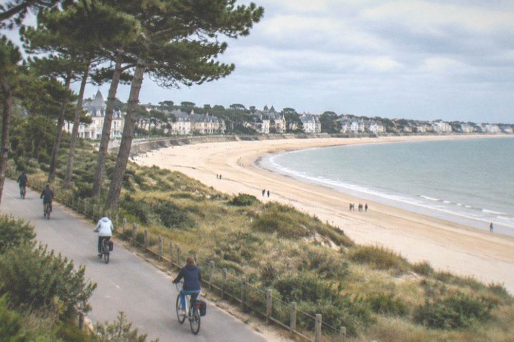 Cyclists on a flat coastal path beside the sea with pine trees on the inland side