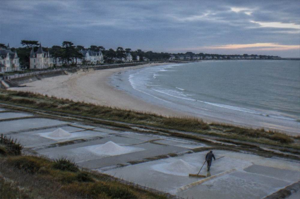 White salt pans in geometric rows with a harvester raking under an open sky