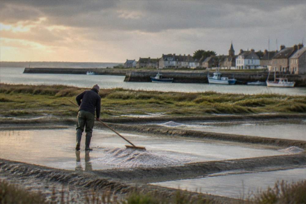 Salt harvester raking grey salt in shallow terraced pans at golden hour