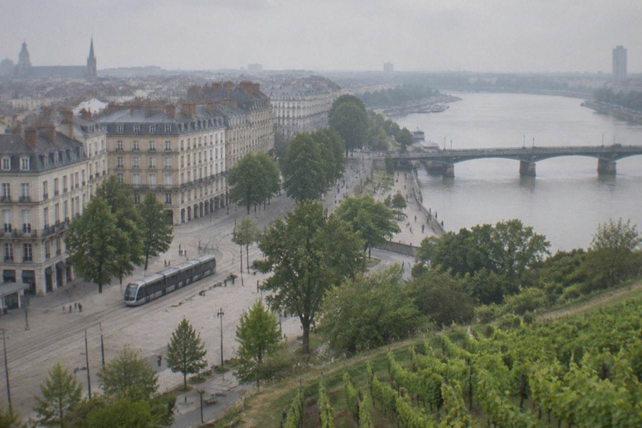 Rows of low vines stretching across a gently sloping vineyard in the Nantes countryside