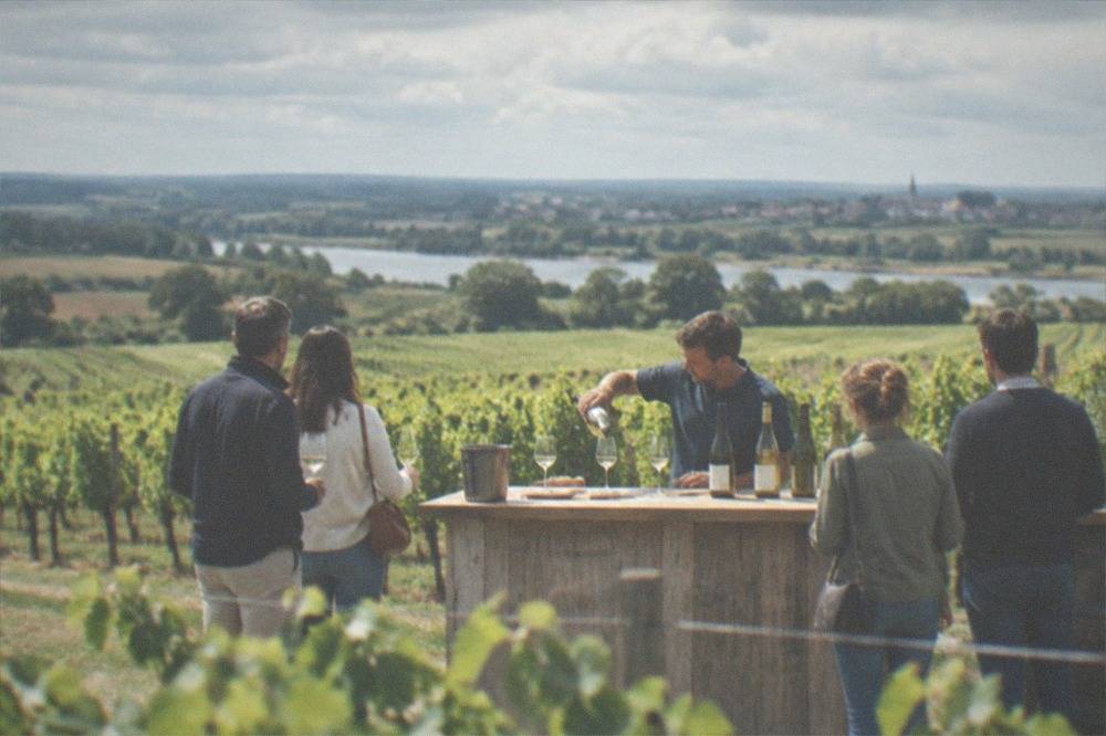 A small group standing at a cellar bar tasting white wines poured by a host