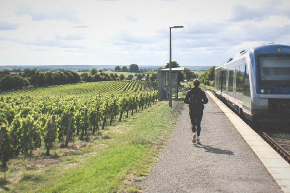 A regional train waiting at a small station platform surrounded by green countryside