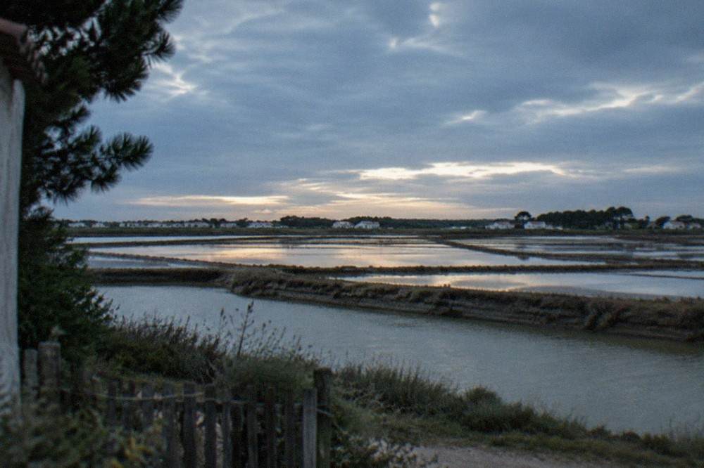 Salt marshes on Noirmoutier with rectangular shallow pans of seawater shimmering under a blue sky