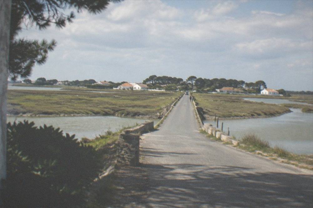 A narrow road crossing flat green saltmarsh toward the island, with water channels on both sides