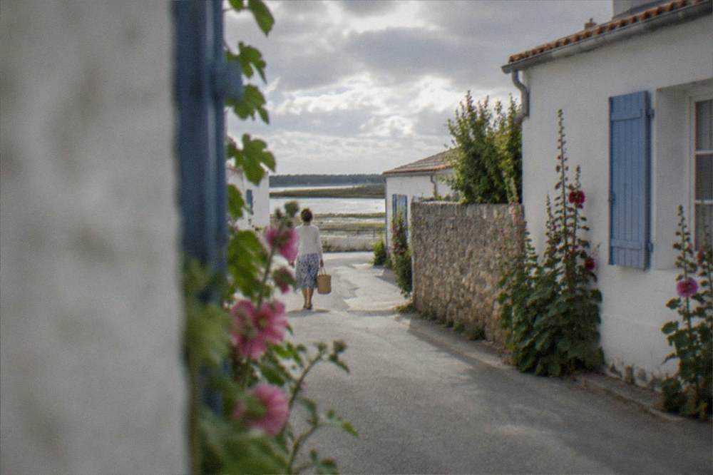 A quiet village lane with white walls, blue shutters and hollyhocks under a summer sky