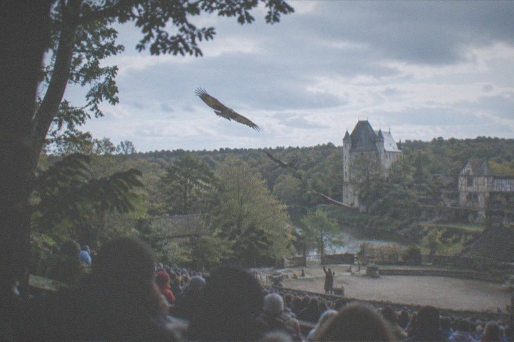 Birds of prey circling low over a crowd seated in a forest amphitheatre
