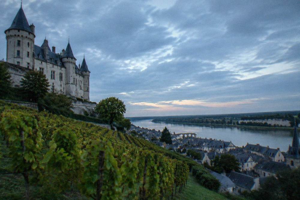 Rows of vines on a gentle slope above a river valley, with a limestone cliff visible beyond the vines