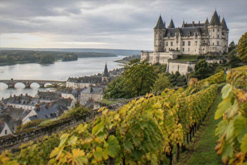 Vineyard rows turning gold and green on a hillside above a river, with soft evening light across the valley