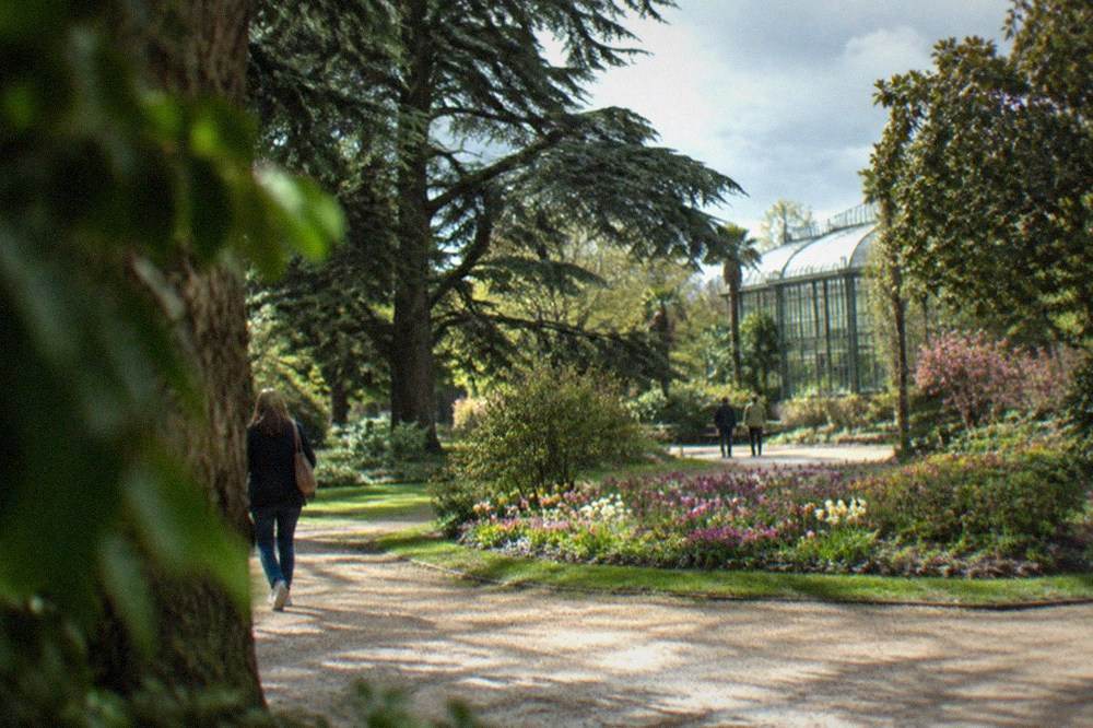 Flower beds and mature trees in the Jardin des Plantes in Nantes on a mild spring day