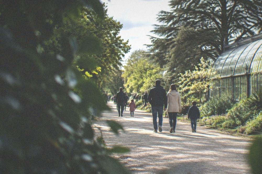 Families strolling a broad tree-lined path in the Jardin des Plantes in Nantes