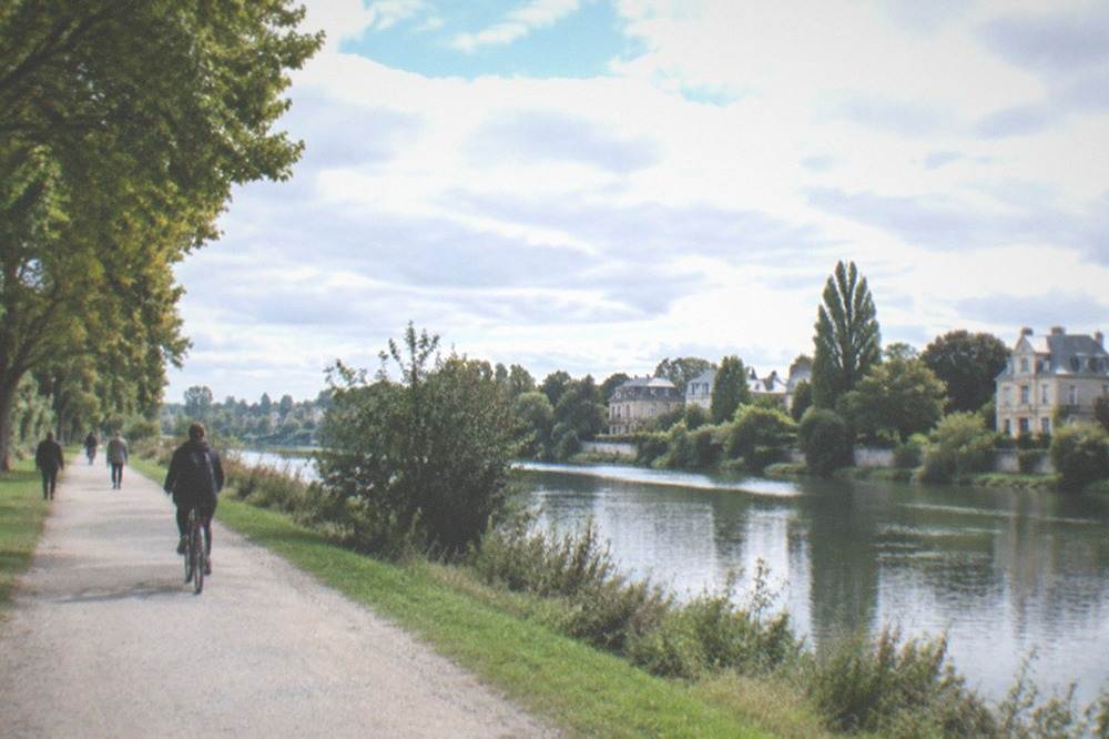 A cyclist on a quiet lane beside a vineyard with rows of vines running down a gentle slope