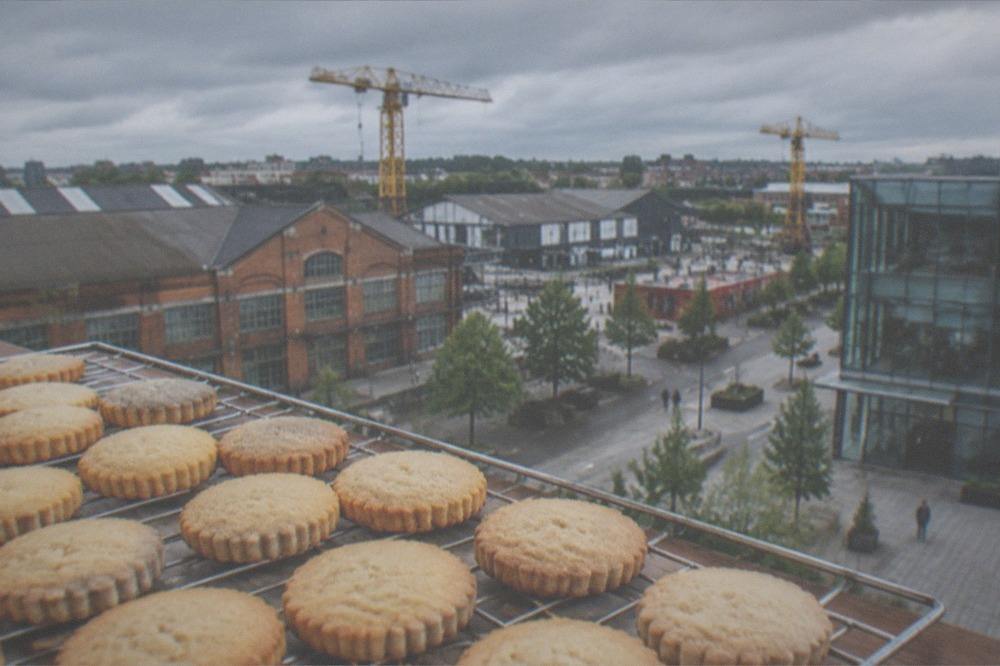 Rows of freshly baked pale golden biscuits on a bakery cooling rack