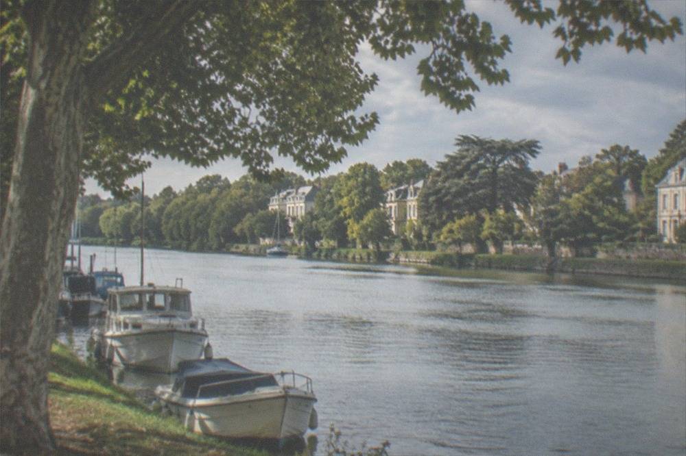 Boats moored on the Erdre river in Nantes under plane trees