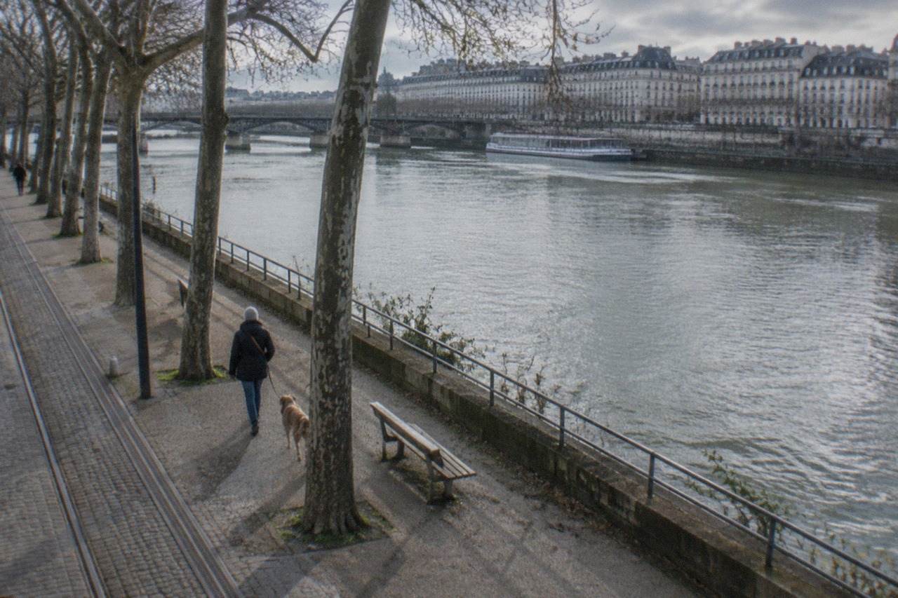 A dog on a lead beside a tree-lined riverside path in central Nantes
