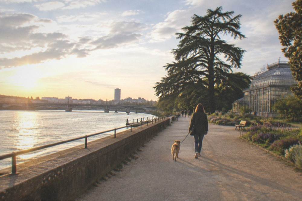 A dog and its owner walking away along a wide riverside promenade at golden hour