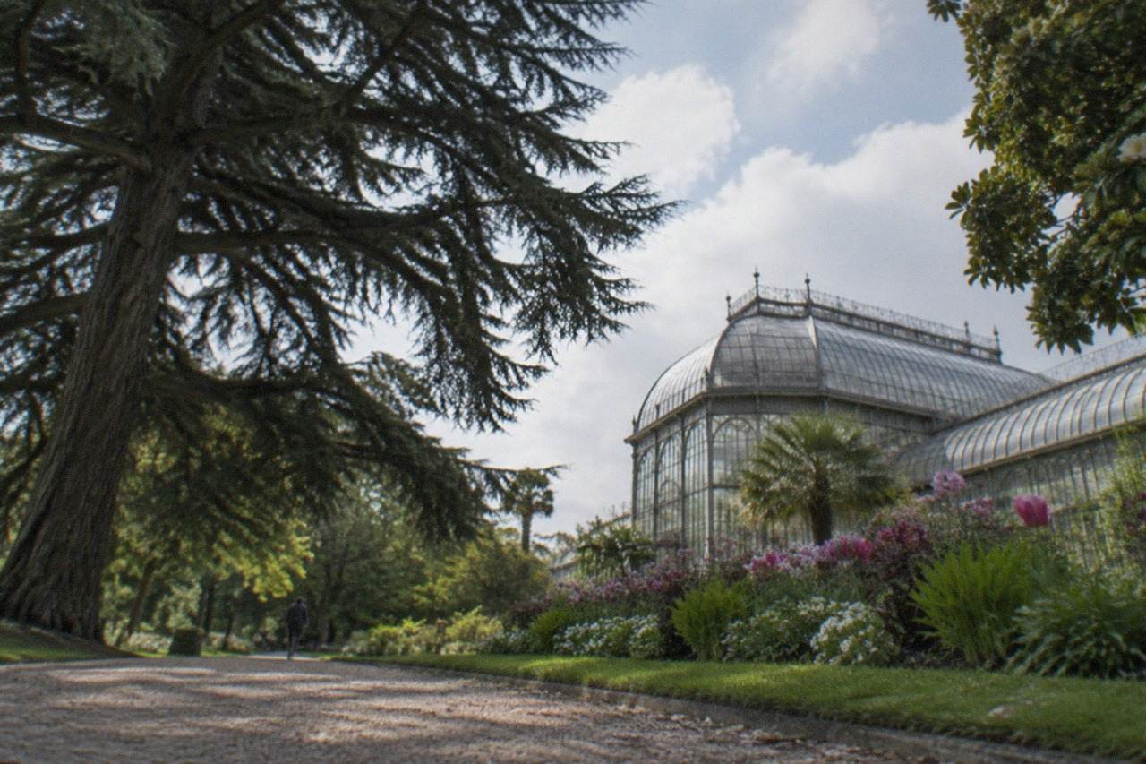 A wide city botanical garden with lawns, mature trees and flowerbeds on a bright morning