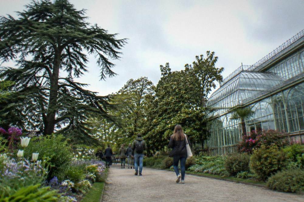 Visitors strolling a gravel path between flowerbeds in a botanical garden