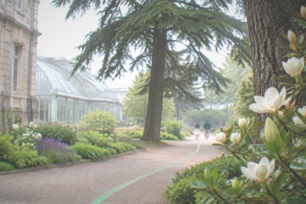 A painted green line on a city pavement leading past trees and a stone building