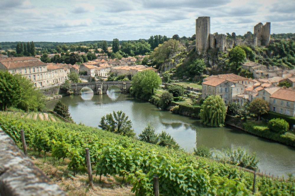 Rows of Muscadet vines on slopes above the Sèvre Nantaise near Clisson