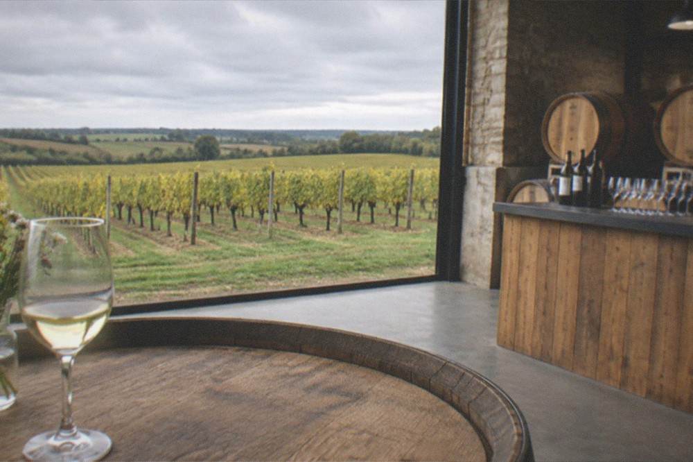 Vineyard cellar with barrels and tasting counter in the Muscadet region near Nantes