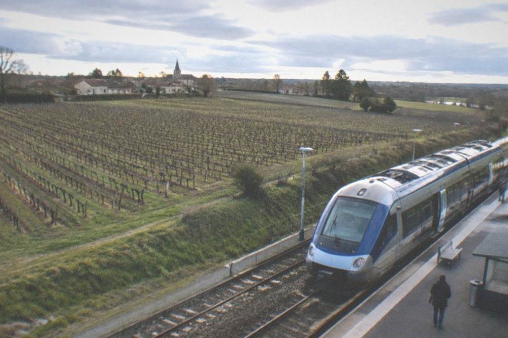 A TER regional train at a platform station in the French countryside